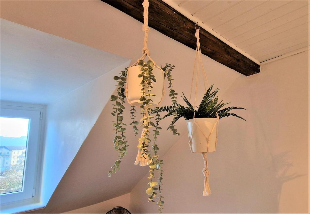 Liebenswertes Apartment 10 Minuten Zur Altstadt 科布倫茨 外观 照片